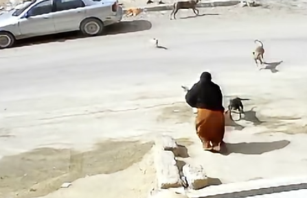 لقطة الشاشة 2026-10-16 100610 لقطة الشاشة 2026-10-16 100610